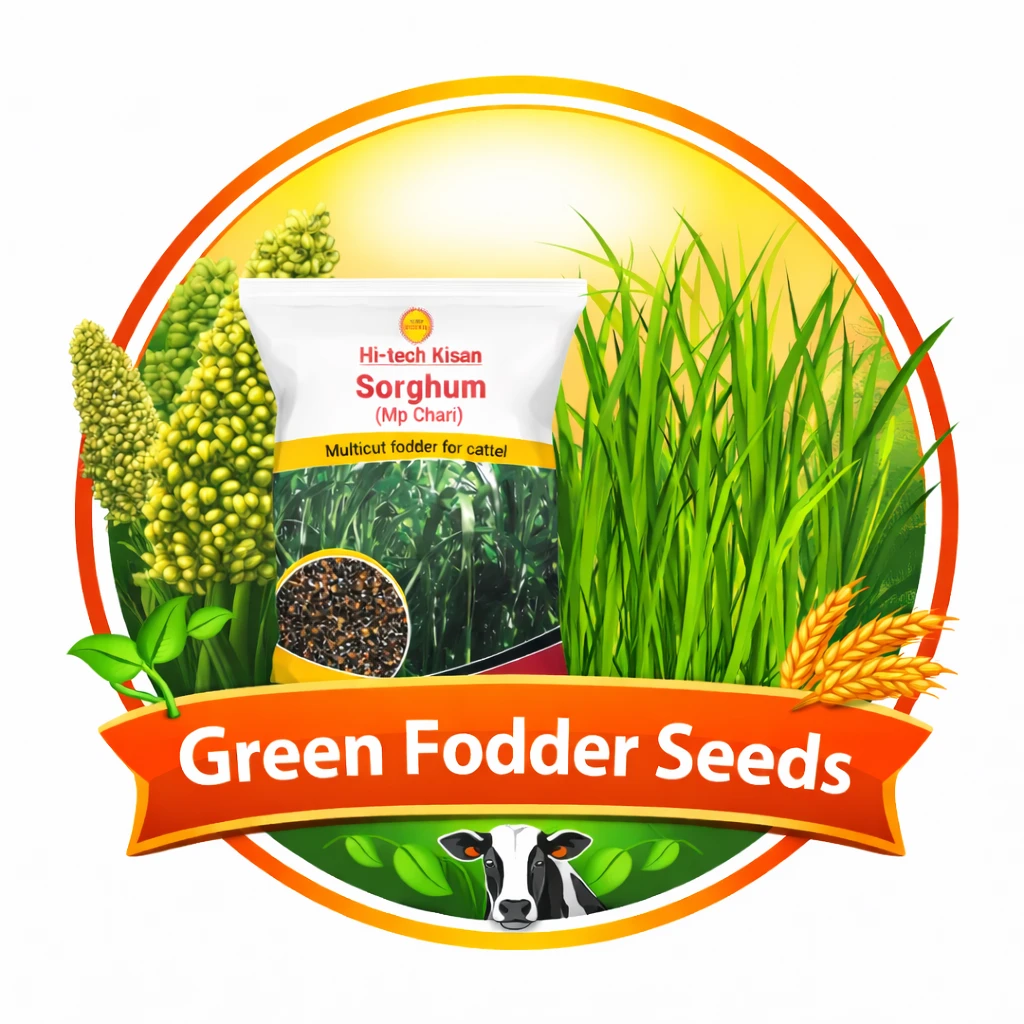 Green Fodders Seeds